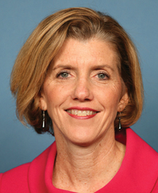 Portrait of Kathleen A. Dahlkemper