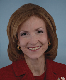Portrait of Nan A. S. Hayworth