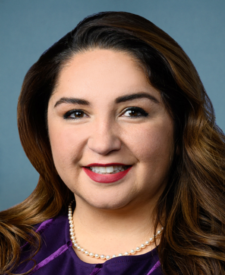 Rep. Ramirez, Delia C. [D-IL-3]